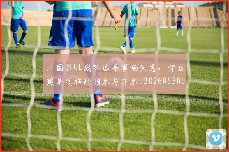 三国杀OL战队选手赛场失意，背后藏着怎样的泪水与汗水_20260530144232
