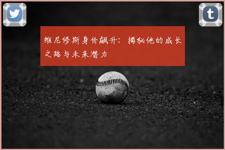 维尼修斯身价飙升：揭秘他的成长之路与未来潜力
